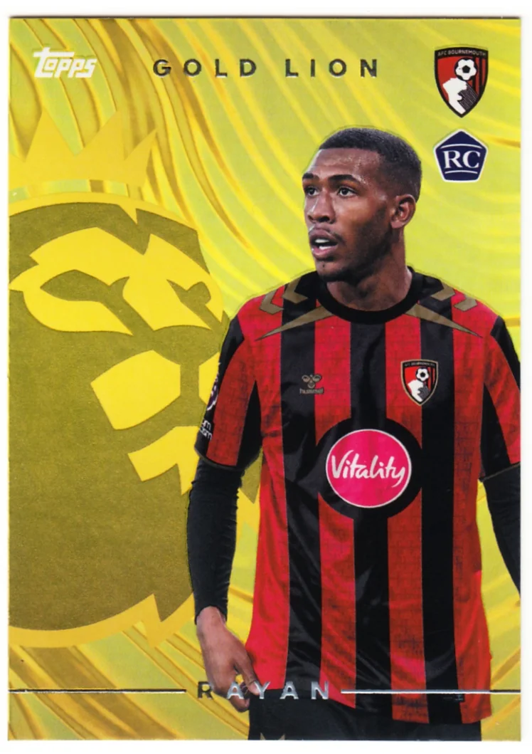 afc33d04816f981c6014037fc7ddc36f